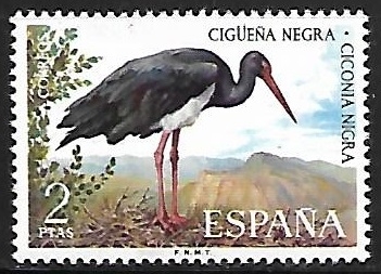 Fauna Hispánica - Cigüeña Negra