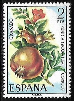 Flora - Granada