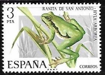 Fauna Hispánica - Ranita de San Antonio