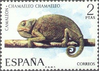 ESPAÑA 1974 2193 Sello Nuevo Fauna Hispanica Camaleon