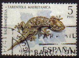 ESPAÑA 1974 2194 Sello Fauna Hispanica Salamanquesa Usado