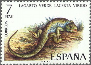 ESPAÑA 1974 2195 Sello Nuevo Fauna Hispanica Lagarto Verde