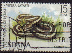 ESPAÑA 1974 2196 Sello Fauna Hispanica Vibora de Lataste Usado