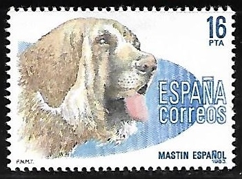 Perros de raza española - Mastín español