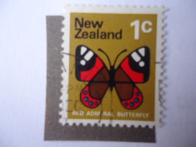 New Zealand Red Admiral Butterfly -Vanessa Geonerilla