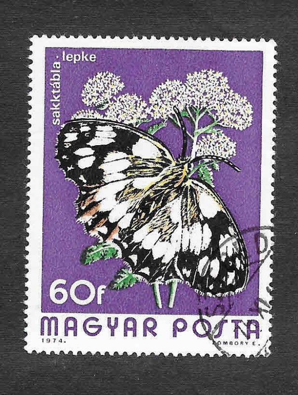 2314 - Mariposa