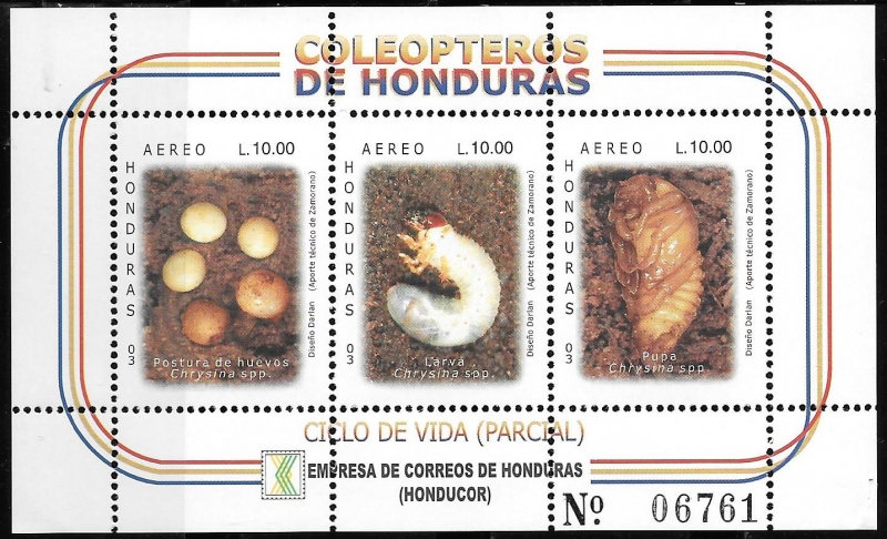 Coleópteros de Honduras