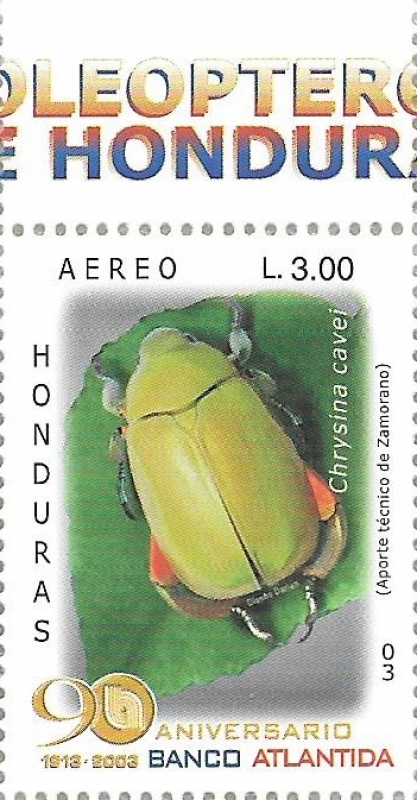 Coleópteros de Honduras