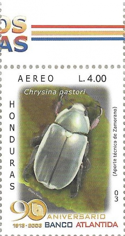Coleópteros de Honduras