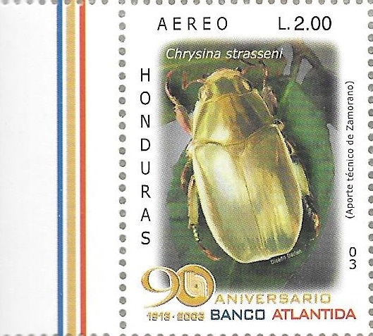 Coleópteros de Honduras