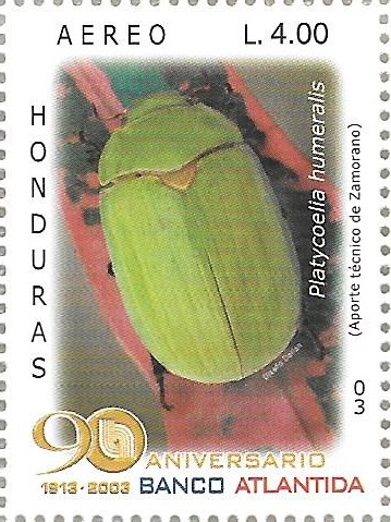 Coleópteros de Honduras