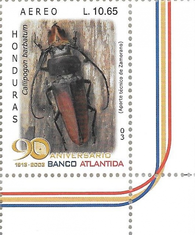 Coleópteros de Honduras