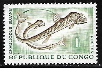 Sloane's Viperfish (pez)