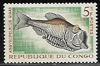 Greater Silver Hatchetfish (pez)