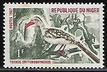Northern Red-billed Hornbill