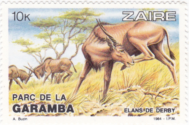 PARQUE DE LA GARAMBA 