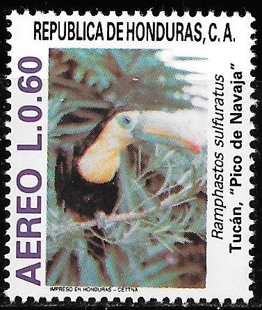 Pájaros