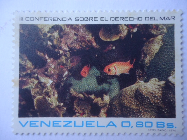 III Conferencia Sobre el Derecho del Mar - Arrecife de Corales-Vida Marina