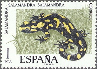 ESPAÑA 1975 2272 Sello Nuevo V Fauna Hispánica Salamandra