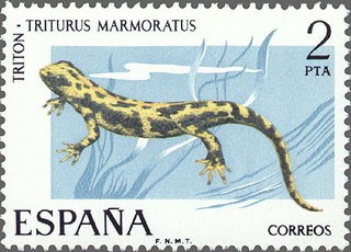 ESPAÑA 1975 2273 Sello Nuevo V Fauna Hispánica Triton Triturus Marmoratus