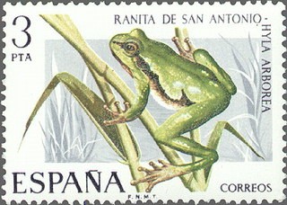 ESPAÑA 1975 2274 Sello Nuevo V Fauna Hispánica Ranita de S. Antonio Hyla Arborea