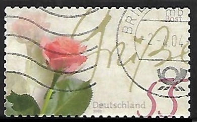 Rosas