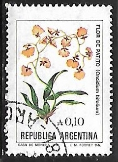 Flor de Patito