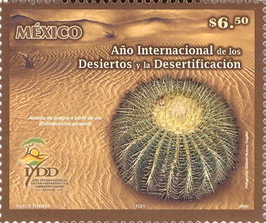 Año Internacional de los Desiertos y la Desertificacion