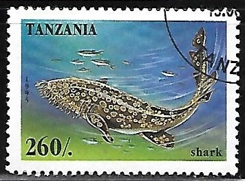 Shark