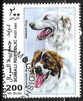 Muscovite Guard Dog and Akbash Dog