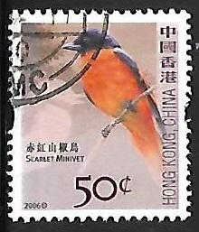 Scarlet Minivet