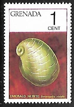 Emerald Nerite