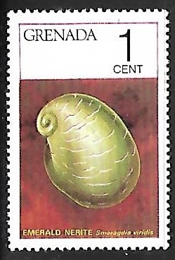 Emerald Nerite