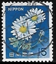 Chrysanthemum