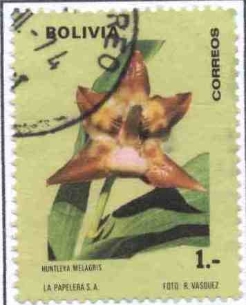 Flora boliviana - Orquideas