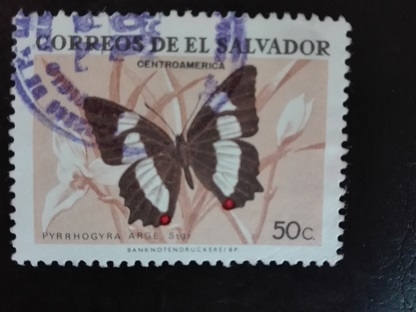 Mariposa