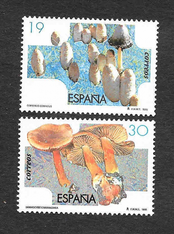 Edf 3341-3342 - Micología