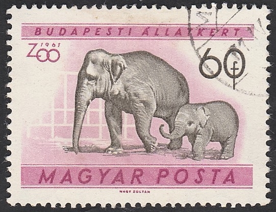 1416 - Jardín zoológico de Budapest, elefantes