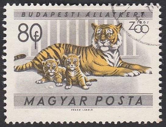 1417 - Jardín zoológico de Budapest, tigres