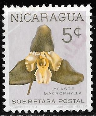 Nicaragua-cambio