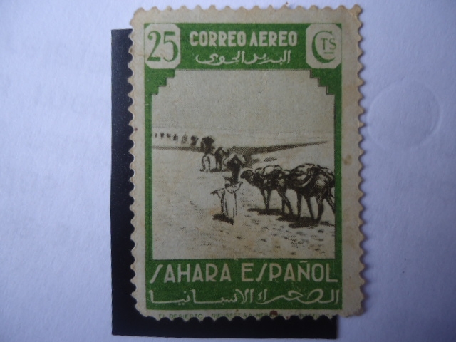 ED:Es-SH76 - Caravana de Camellos