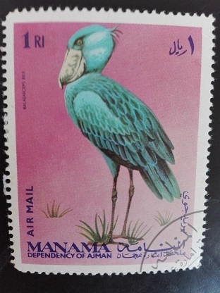 Manama Fauna