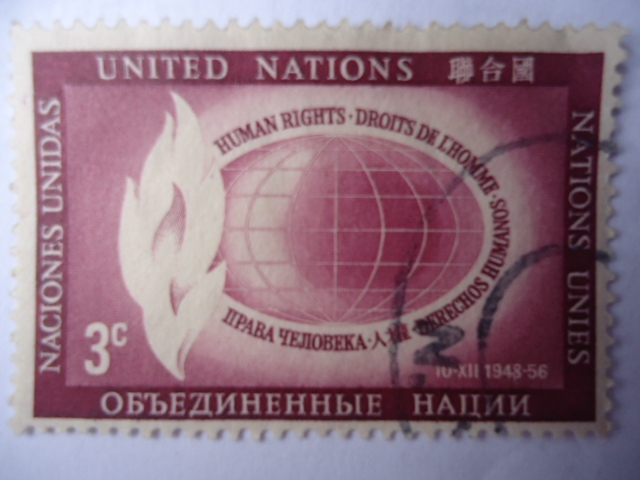 Derechos Humanos-Organización Mundial de la Salud - Emblema-LLama y Mundo.