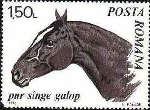 Caballos 1970