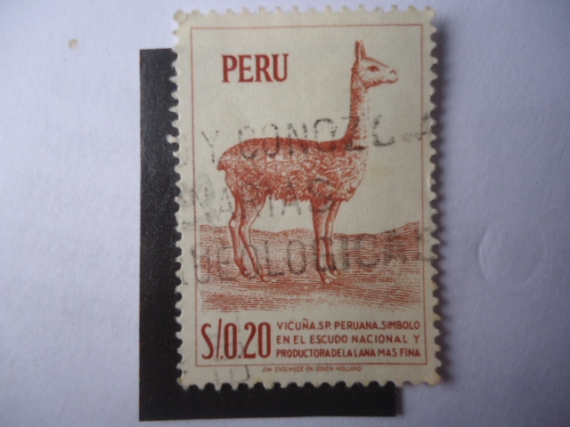 Vicuña-Vicuña Peruana, Símbolo en el Escudo Nacional- (Sello 1960)