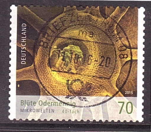 Micromúndo