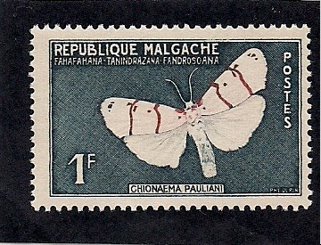 mariposa