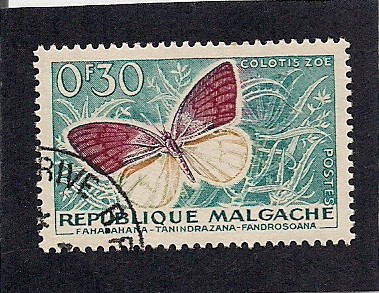 mariposa