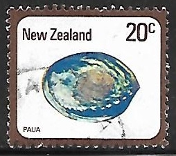 Paua - concha marina