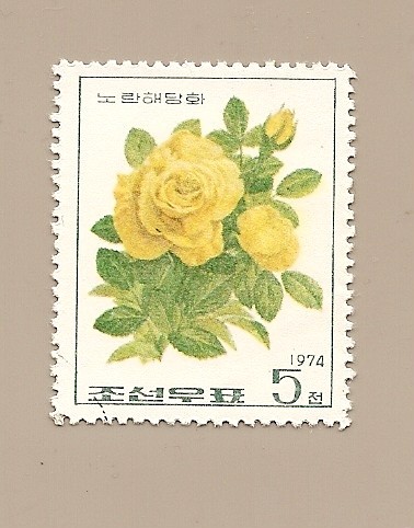 Flores - Rosa amarilla